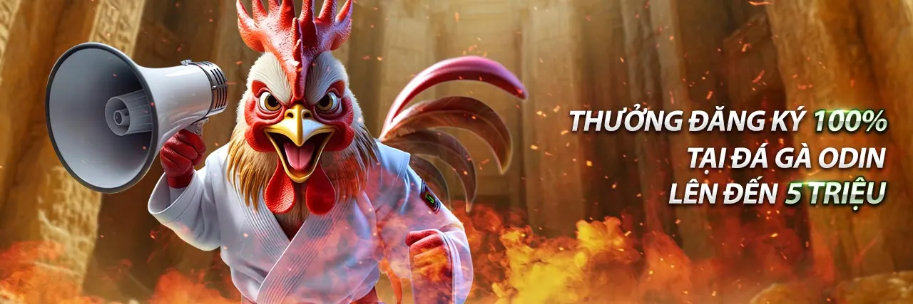 Sân đấu đá gà trực tuyến kịch tính tại OK365 uy tín