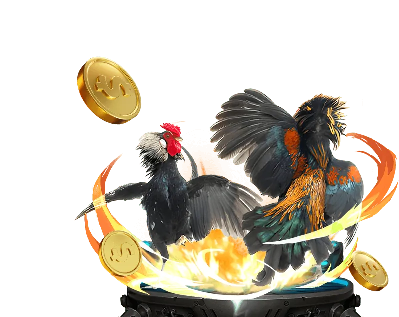 Chương trình VIP ok365 uy tín